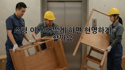 소형 이사, 어떻게 하면 현명하게 할까요? 🤔